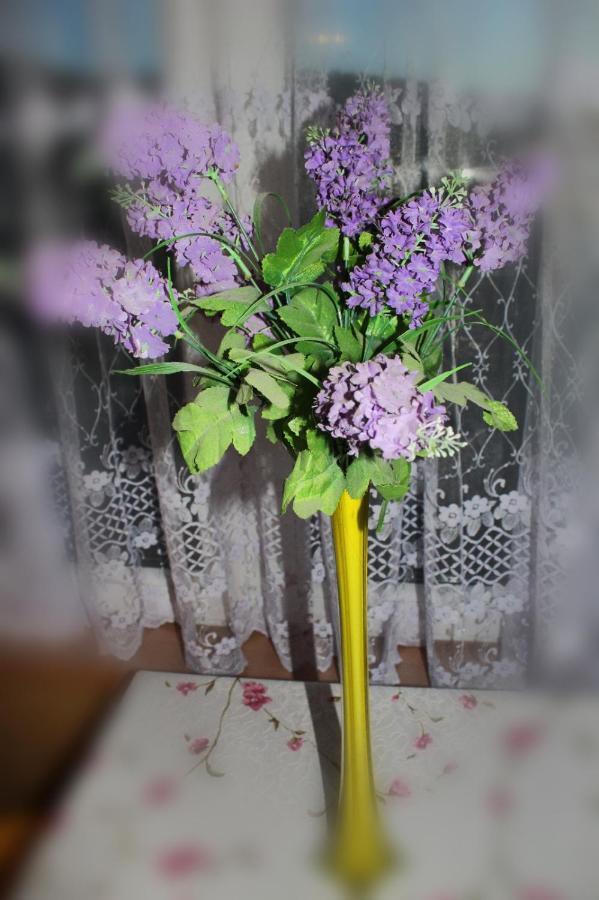 Pati Apartament Slonko Wisła Kültér fotó