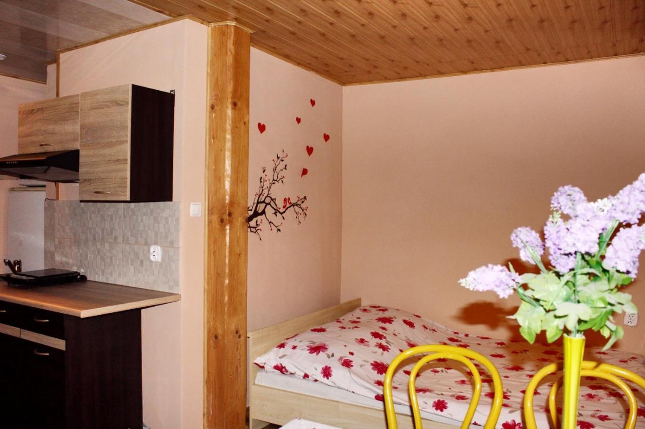 Pati Apartament Slonko Wisła Kültér fotó